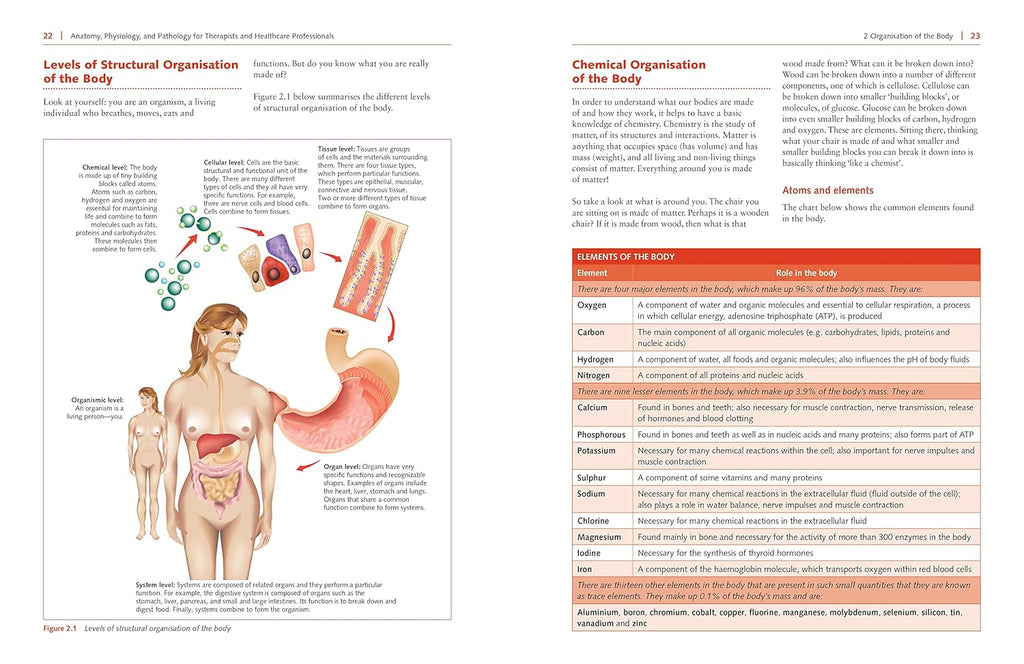 Anatomy, Physiology, and Pathology, Third Edition: a Practical, Illustrated Guide to the Human Body for Students and Practitioners--Clear and Accessible, with Study Tips and Full-Color Visual Aids