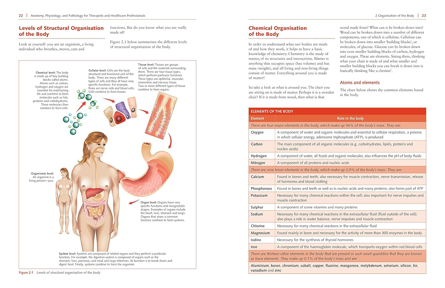 Anatomy, Physiology, and Pathology, Third Edition: a Practical, Illustrated Guide to the Human Body for Students and Practitioners--Clear and Accessible, with Study Tips and Full-Color Visual Aids