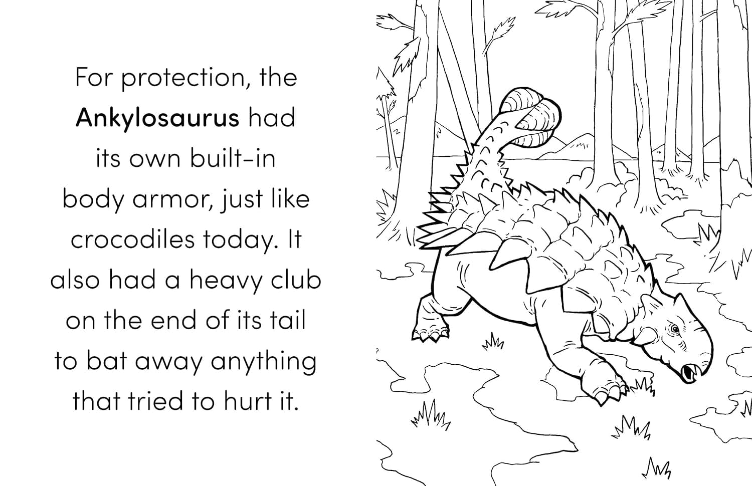 Coloring Book Box Set: 3 Books for Coloring Fun and Awesome Facts about Dinosaurs,Bugs,And Wild Animals(Perfect Gift for Kids Ages 3-7) (A Did You Know? Coloring Book)