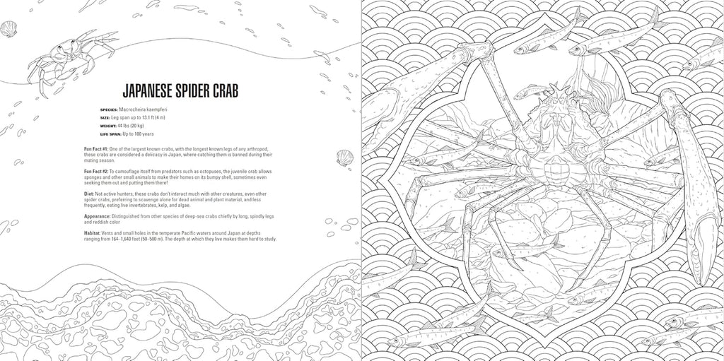 Animals: a Smithsonian Coloring Book Box Set