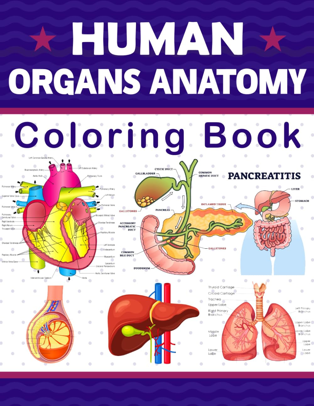 Human Organs Anatomy Coloring Book: It Will Be Great for Learning Human Body Organs Anatomy Easily. It Contains Brain, Eye, Ear, Nose, Mouth, Tongue, ... Heart, Kidney, Skin, Intestine and Many More.