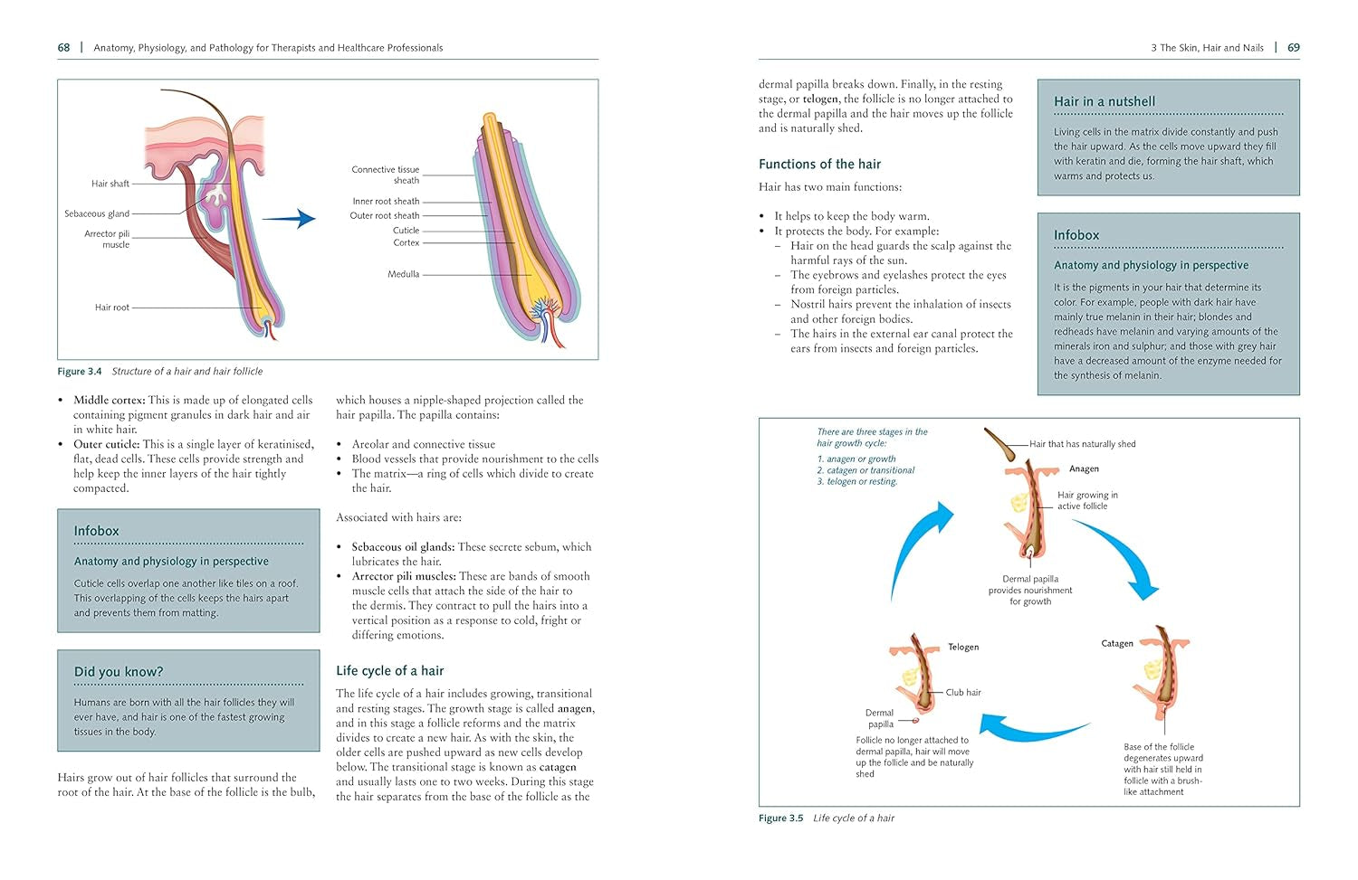 Anatomy, Physiology, and Pathology, Third Edition: a Practical, Illustrated Guide to the Human Body for Students and Practitioners--Clear and Accessible, with Study Tips and Full-Color Visual Aids