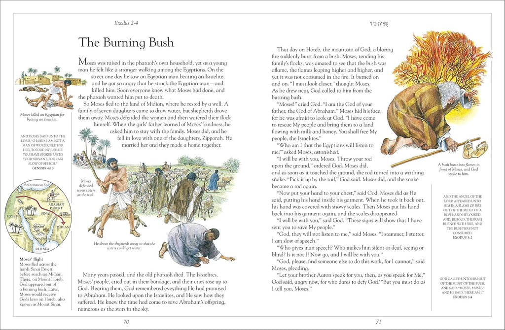 The Children'S Illustrated Jewish Bible (DK Bibles and Bible Guides)