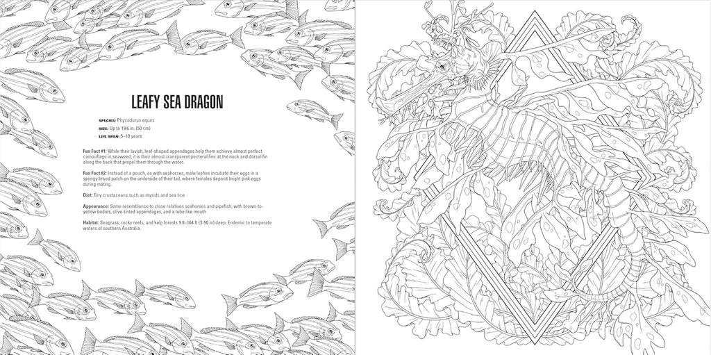 Animals: a Smithsonian Coloring Book Box Set