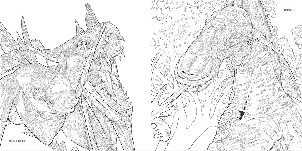 Avatar Coloring Book