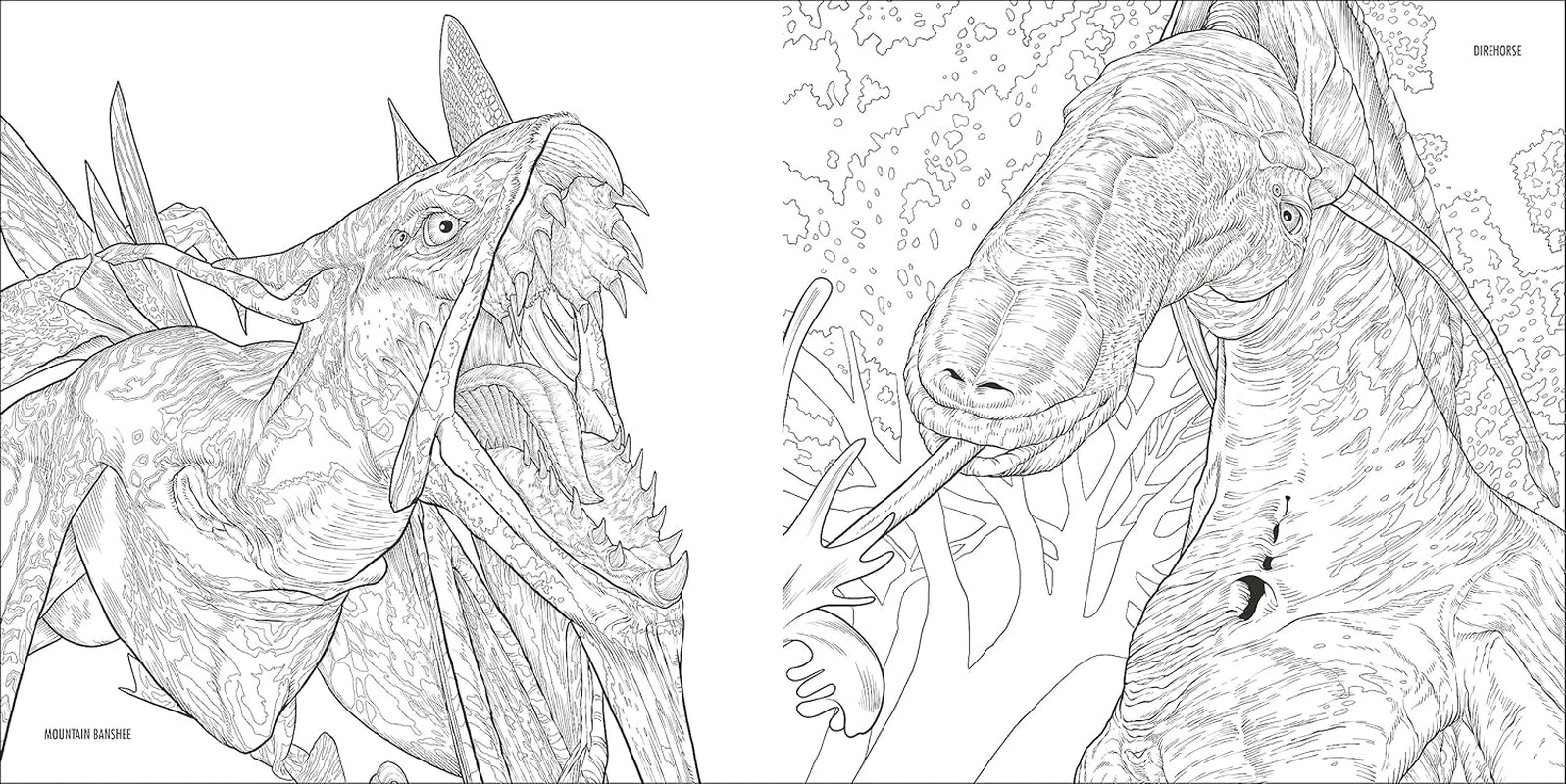Avatar Coloring Book