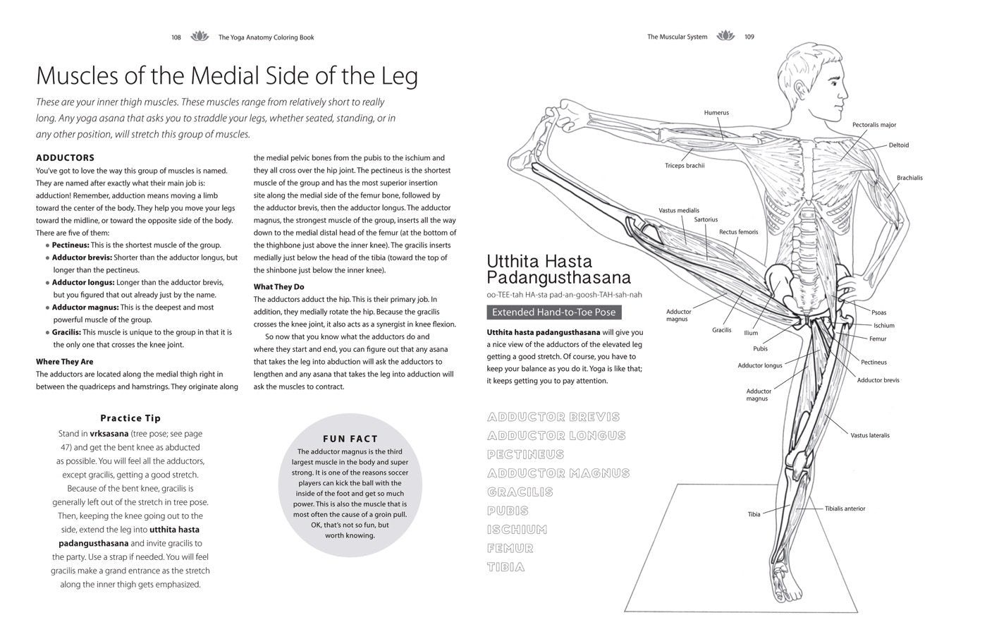 Yoga Anatomy Coloring Book: a Visual Guide to Form, Function, and Movement - an Educational Anatomy Coloring Book for Medical Students, Yoga ... & Adults (Volume 1) (Anatomy Coloring Books)