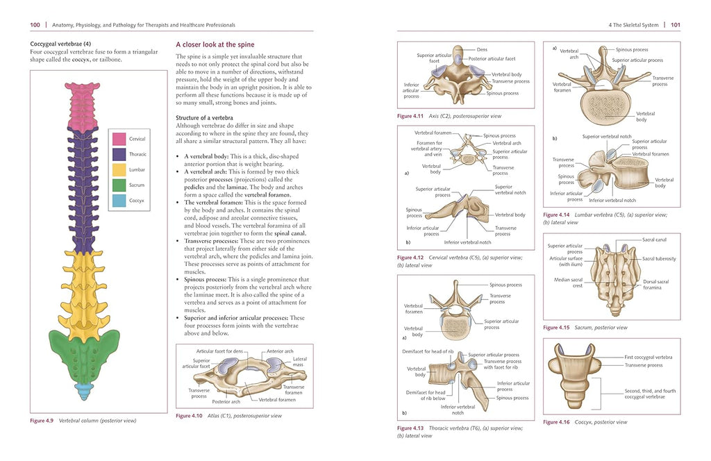 Anatomy, Physiology, and Pathology, Third Edition: a Practical, Illustrated Guide to the Human Body for Students and Practitioners--Clear and Accessible, with Study Tips and Full-Color Visual Aids