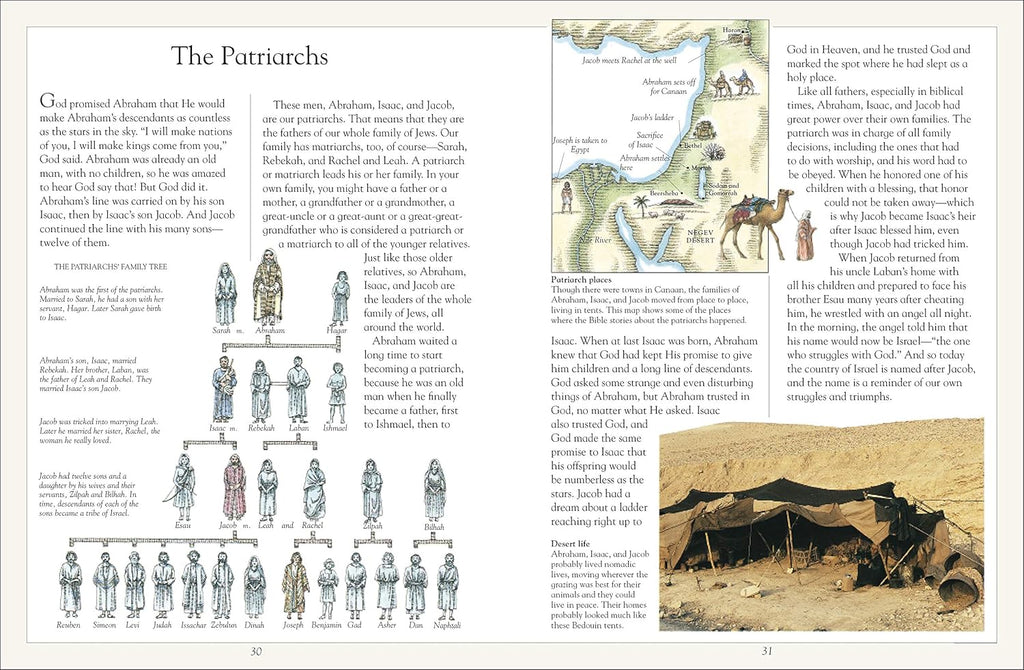 The Children'S Illustrated Jewish Bible (DK Bibles and Bible Guides)
