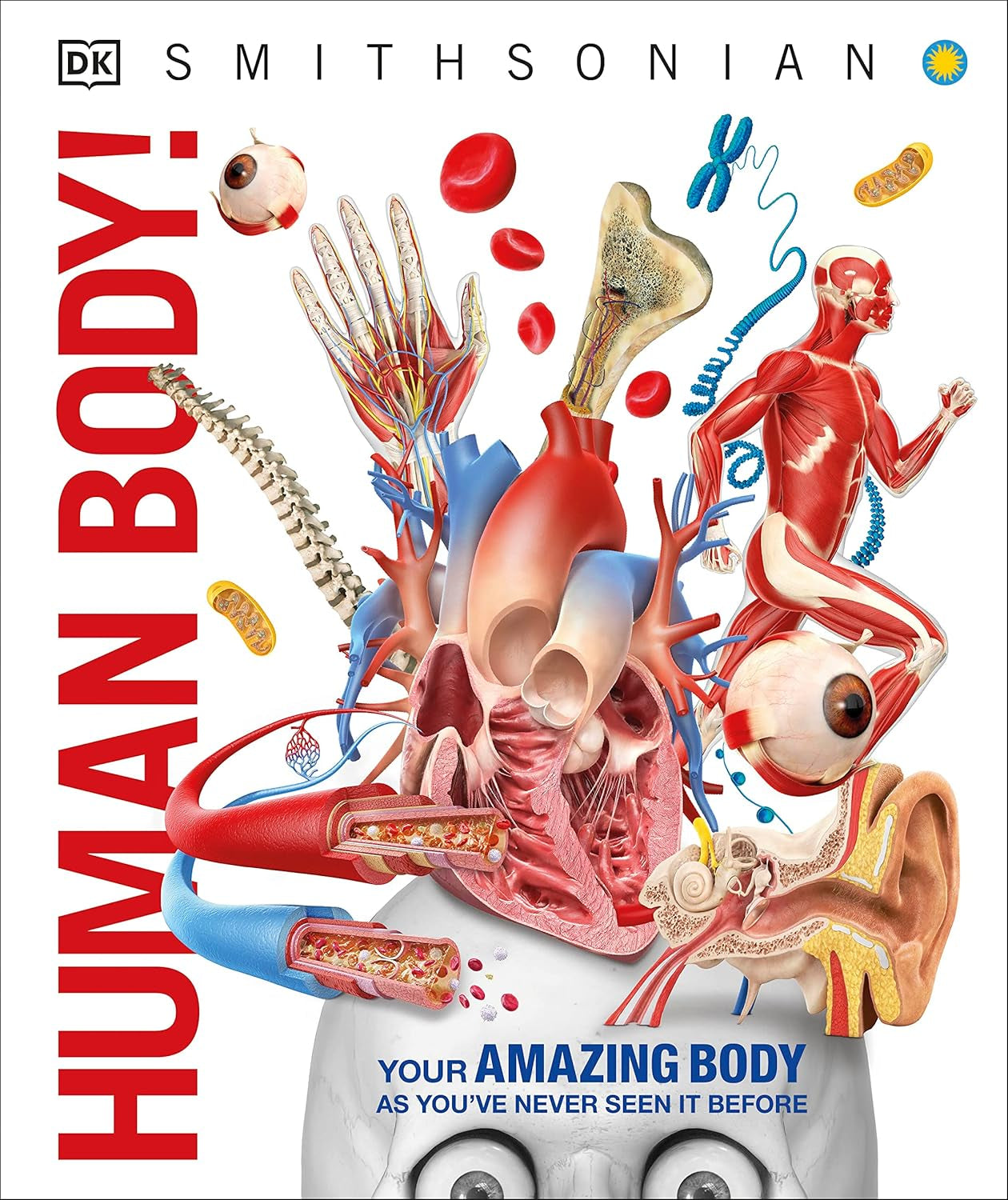 Human Body Book for Kids and Adults – Fun and Educational Anatomy Guide with Full-Color Diagrams