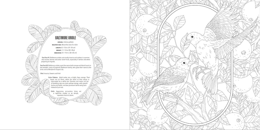 Animals: a Smithsonian Coloring Book Box Set