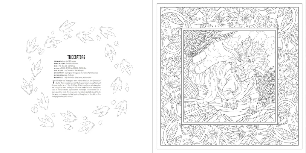 Animals: a Smithsonian Coloring Book Box Set