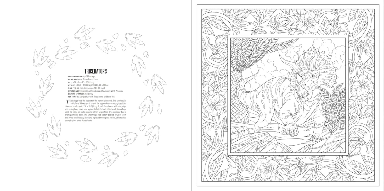 Animals: a Smithsonian Coloring Book Box Set