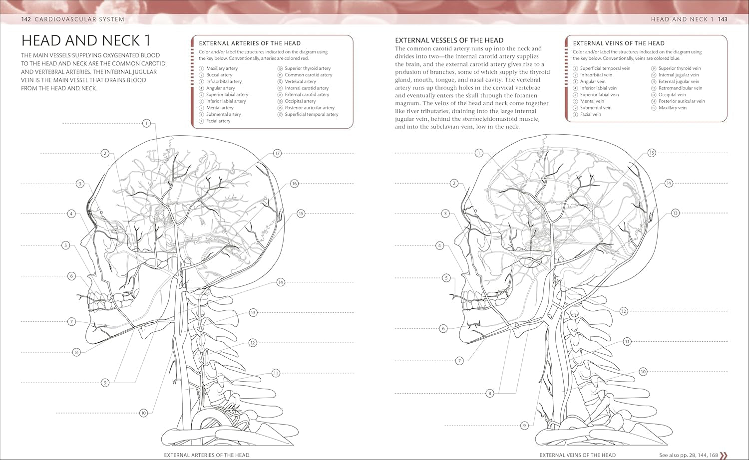 The Human Body Coloring Book: the Ultimate Anatomy Study Guide, Second Edition (DK Human Body Guides)