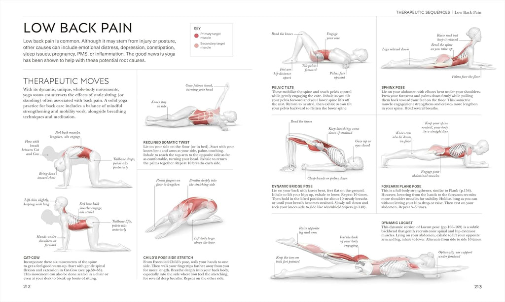 Science of Yoga: Understand the Anatomy and Physiology to Perfect Your Practice (DK Science Of)