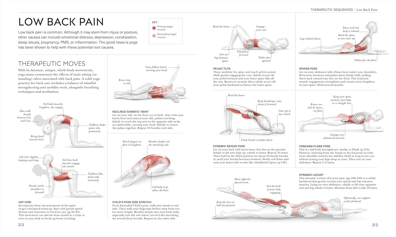 Science of Yoga: Understand the Anatomy and Physiology to Perfect Your Practice (DK Science Of)