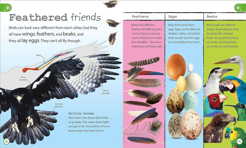 My Encyclopedia of Very Important Things Collection: 3-Book Box Set for Kids Ages 5-9, Including General Knowledge, Animals, and Dinosaurs (My Very Important Encyclopedias)
