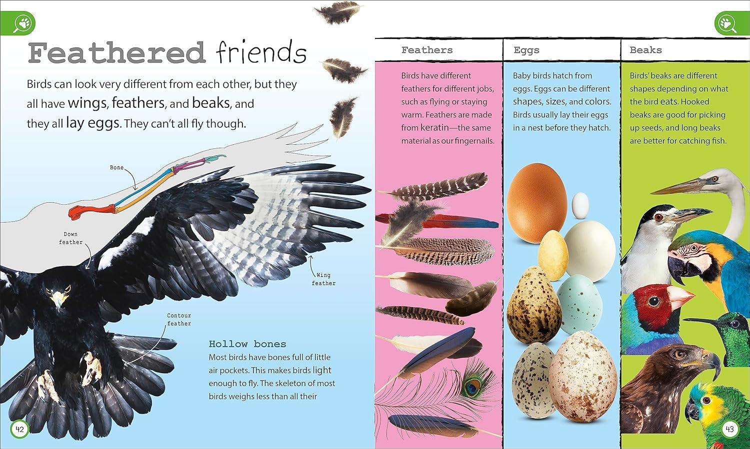 My Encyclopedia of Very Important Things Collection: 3-Book Box Set for Kids Ages 5-9, Including General Knowledge, Animals, and Dinosaurs (My Very Important Encyclopedias)