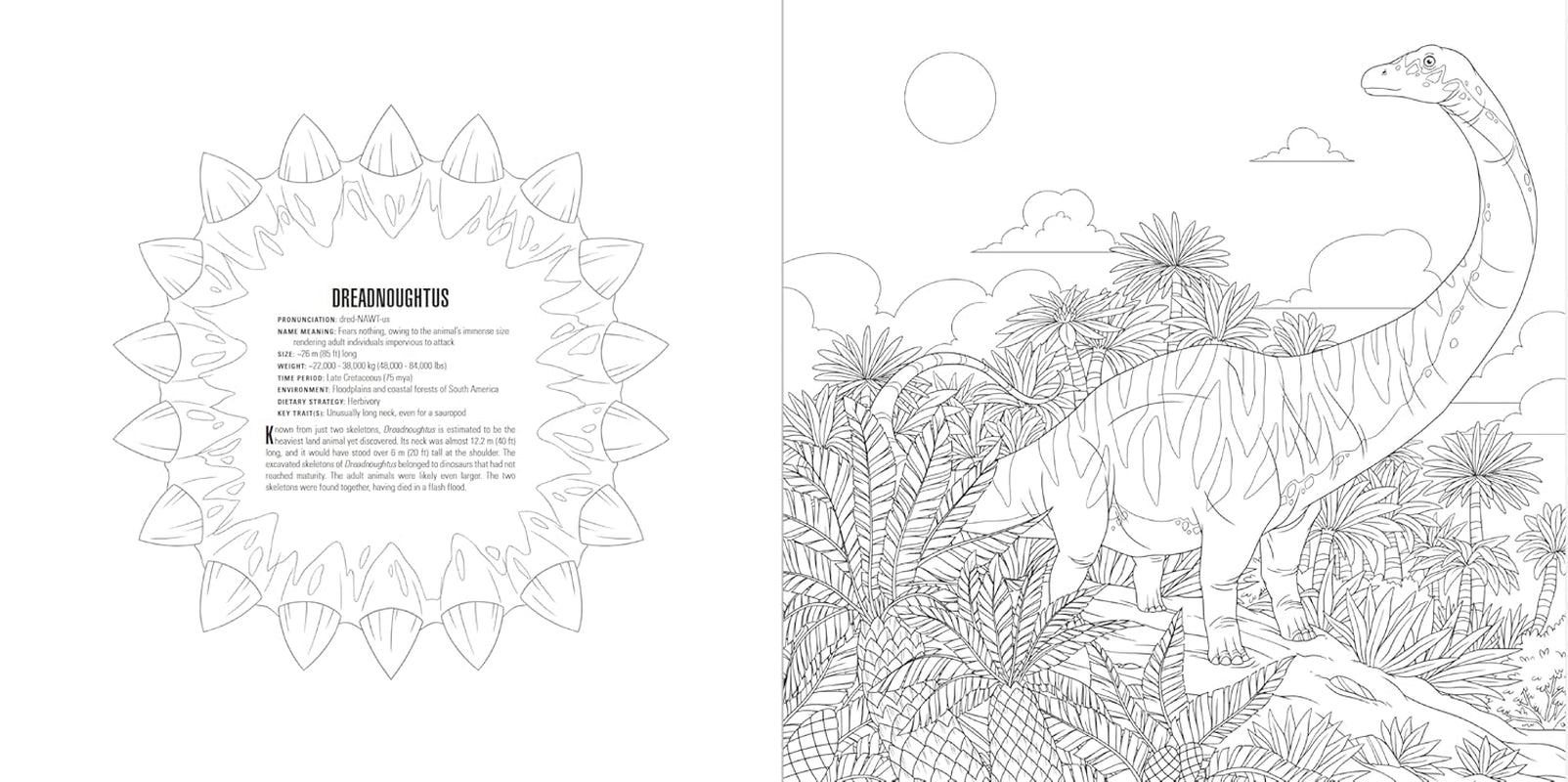 Animals: a Smithsonian Coloring Book Box Set