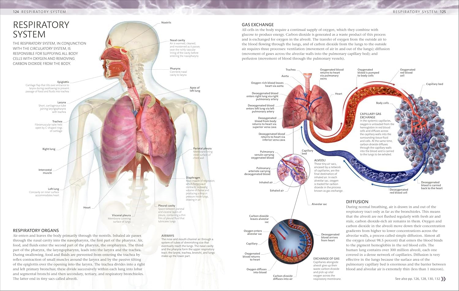 The Human Body Coloring Book: the Ultimate Anatomy Study Guide, Second Edition (DK Human Body Guides)
