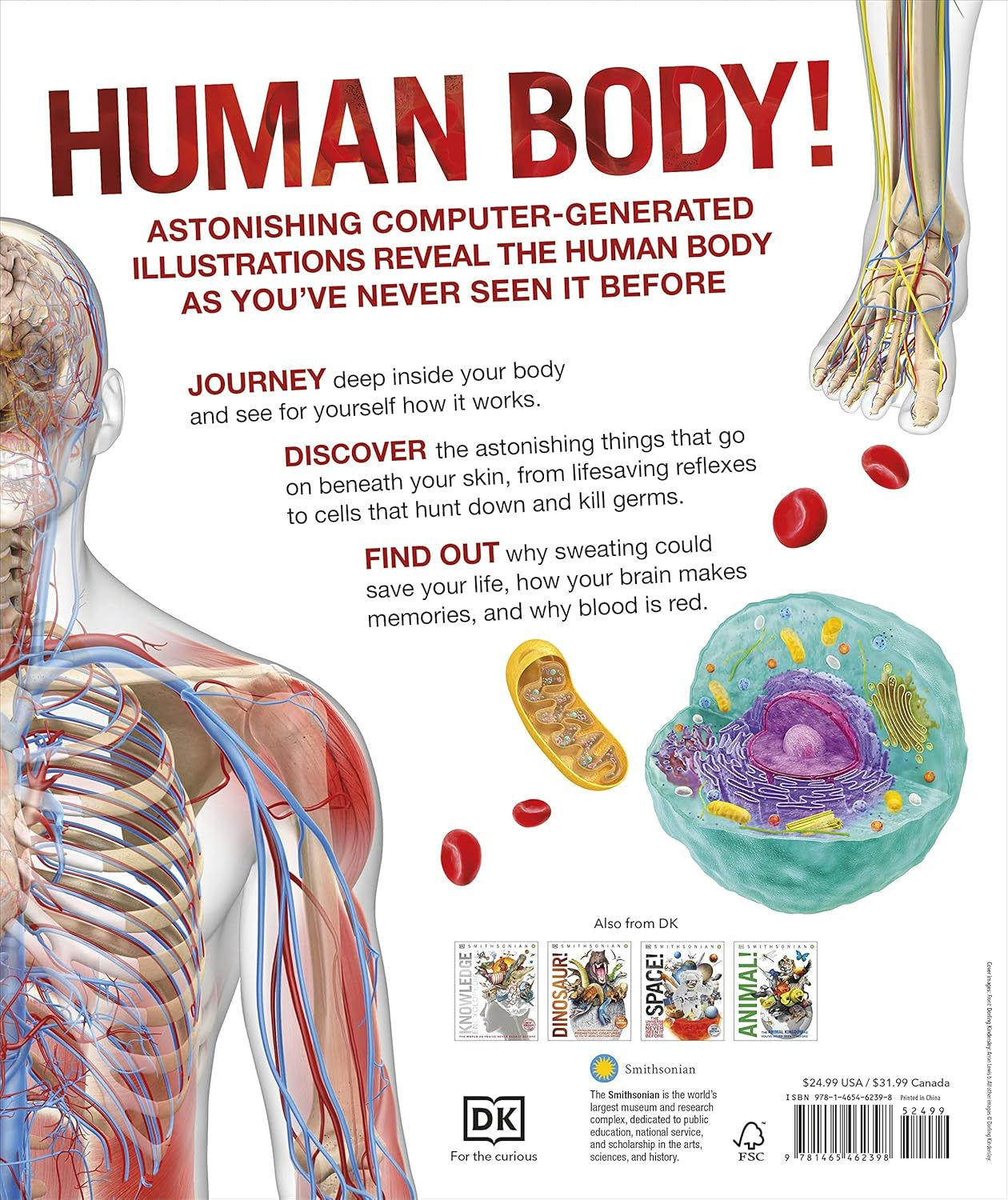 Human Body Book for Kids and Adults – Fun and Educational Anatomy Guide with Full-Color Diagrams