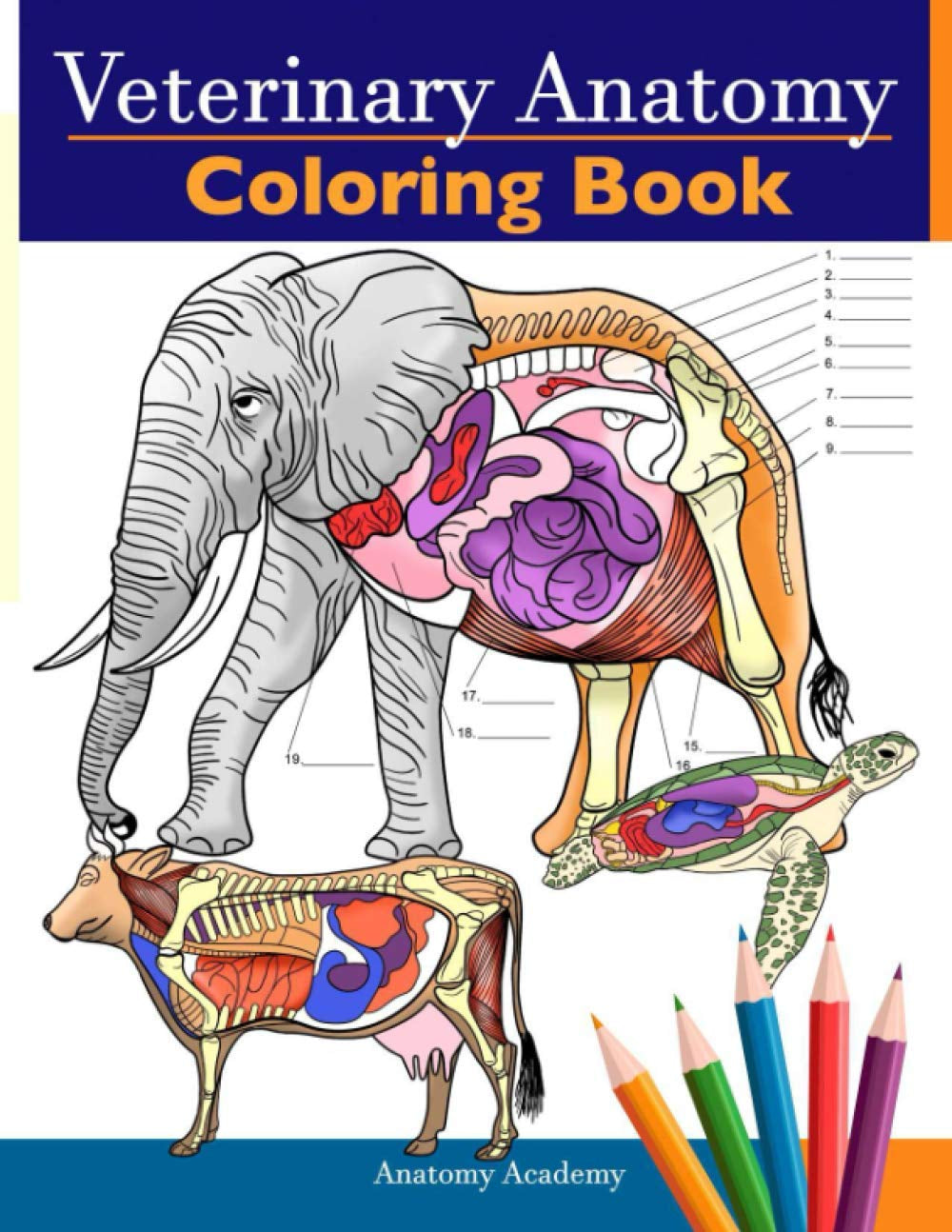 Veterinary Anatomy Coloring Book: Animals Physiology Self-Quiz Color Workbook for Studying and Relaxation | Perfect Gift for Vet Students and Even Adults