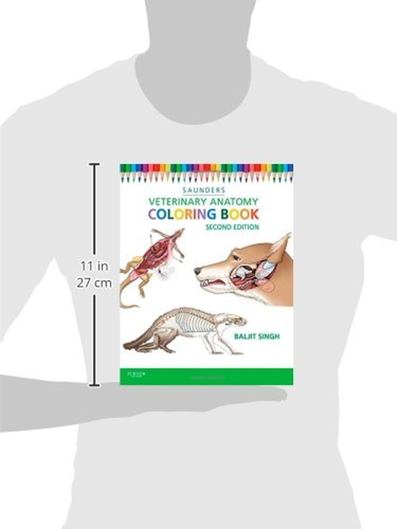Veterinary Anatomy Coloring Book