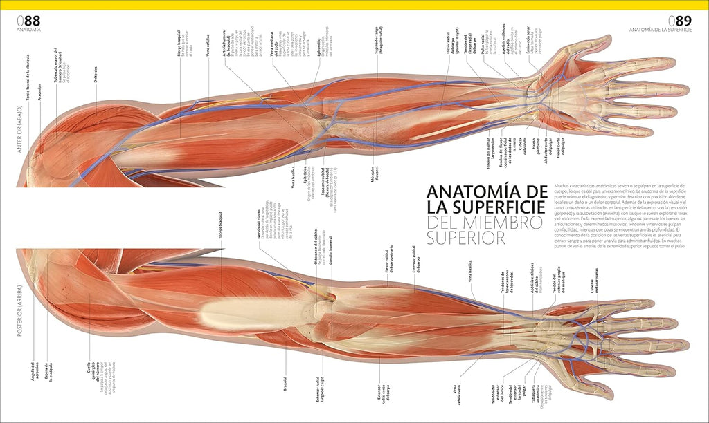 El Gran Libro Del Cuerpo Humano (The Complete Human Body) (Spanish Edition)