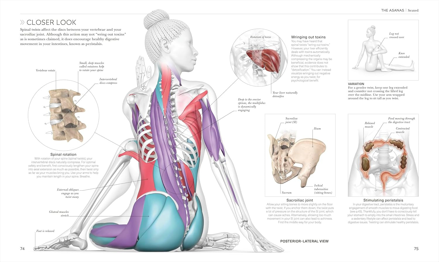 Science of Yoga: Understand the Anatomy and Physiology to Perfect Your Practice (DK Science Of)