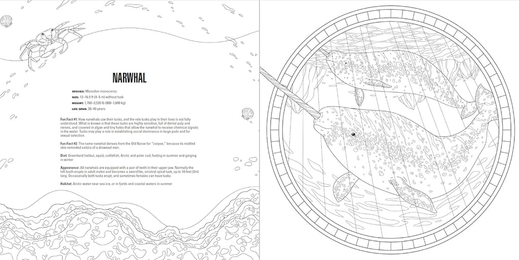 Animals: a Smithsonian Coloring Book Box Set