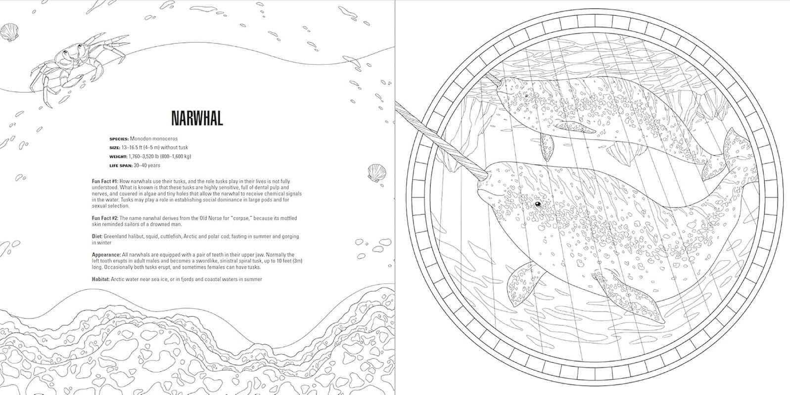 Animals: a Smithsonian Coloring Book Box Set