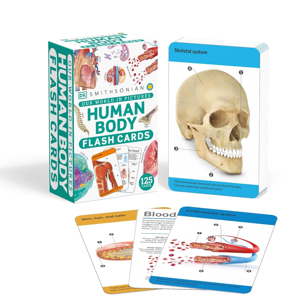 Anatomy Flash Cards – Visual Learning Set of the Human Body with Detailed Pictures and Terms
