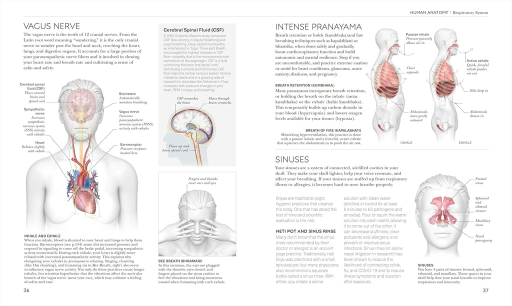 Science of Yoga: Understand the Anatomy and Physiology to Perfect Your Practice (DK Science Of)