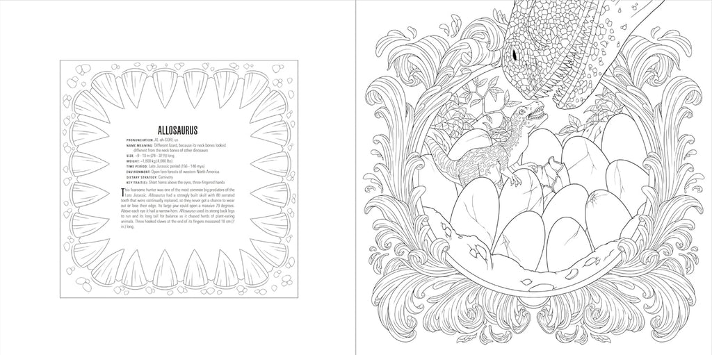 Animals: a Smithsonian Coloring Book Box Set