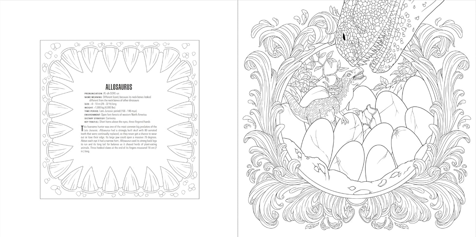 Animals: a Smithsonian Coloring Book Box Set